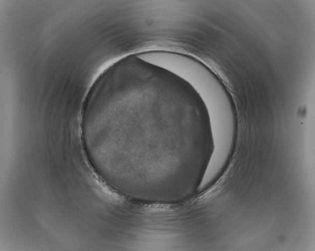 X0000089920846200707271734