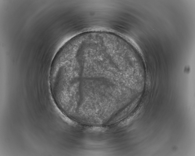 X0000089920847200707271735