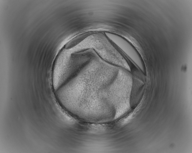 X0000089920850200707271735