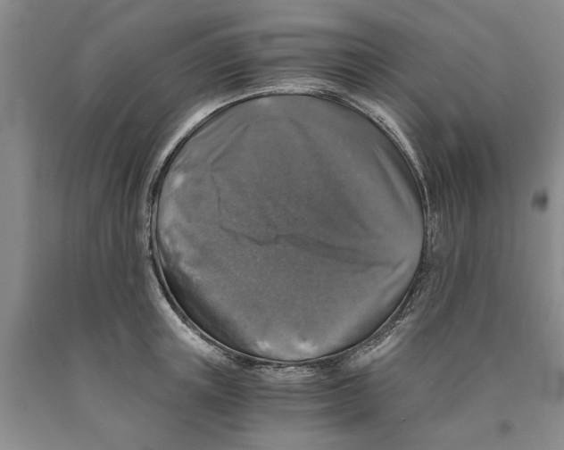 X0000089920851200707271735