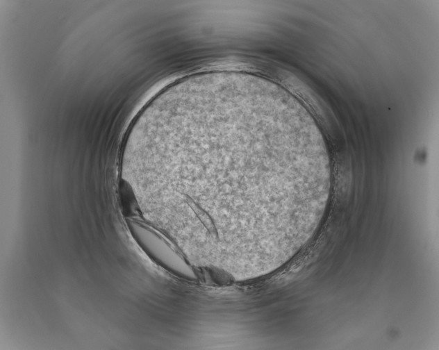 X0000089920852200707271735