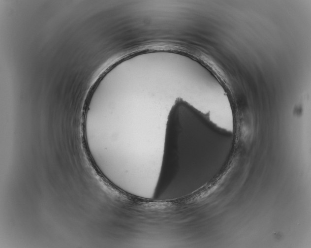 X0000089920853200707271735