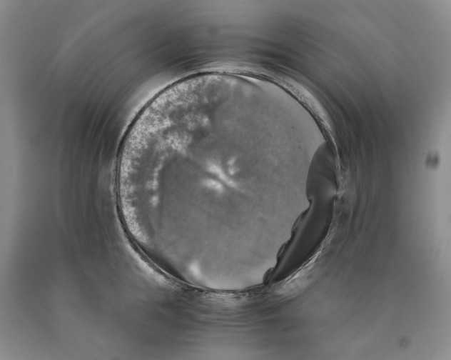 X0000089920855200707271735