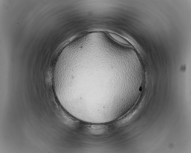 X0000089920857200707271735