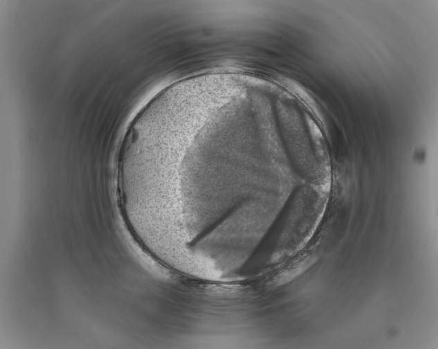 X0000089920859200707271735