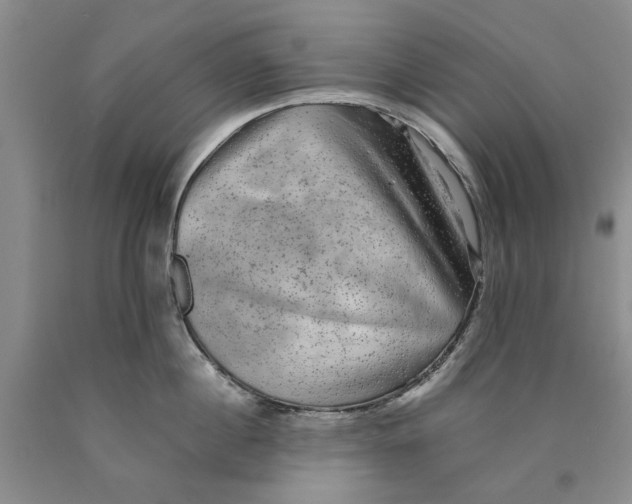 X0000089920860200707271735