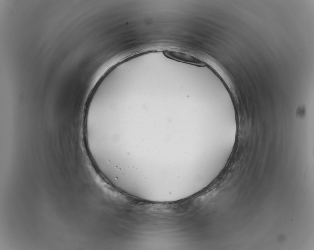 X0000089920861200707271735