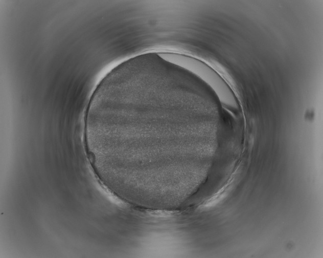 X0000089920862200707271735