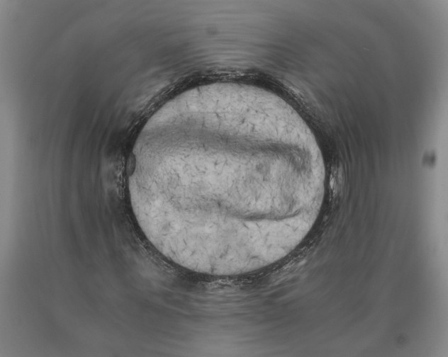 X0000089920867200707271734