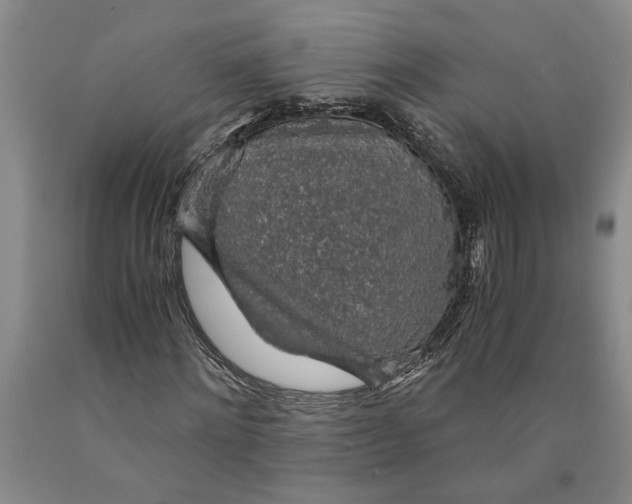 X0000089920868200707271734