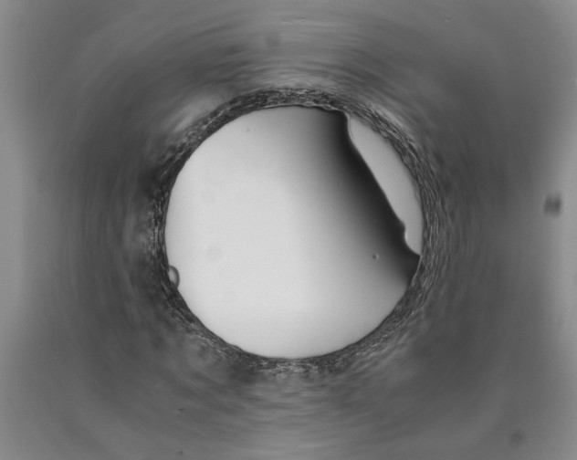 X0000089920869200707271734