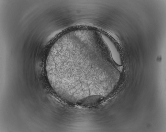 X0000089920872200707271734