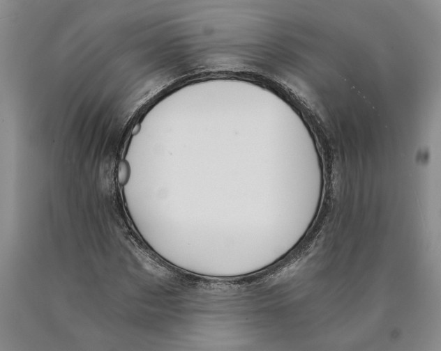 X0000089920873200707271734