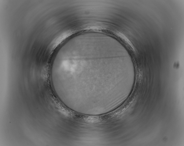 X0000089920874200707271734