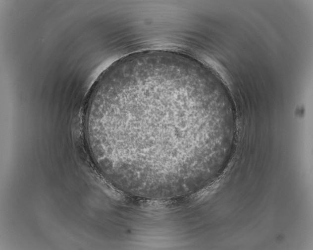 X0000089920875200707271734