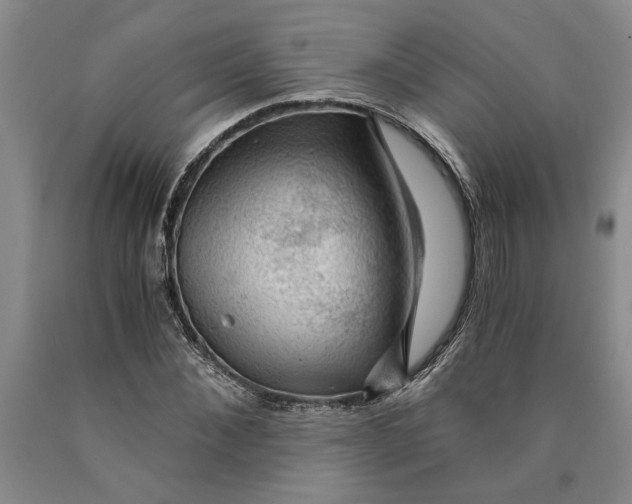 X0000089920876200707271734