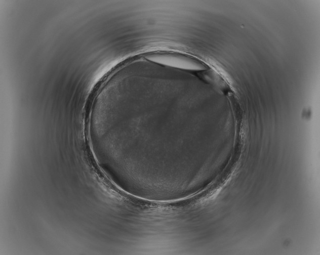 X0000089920877200707271734