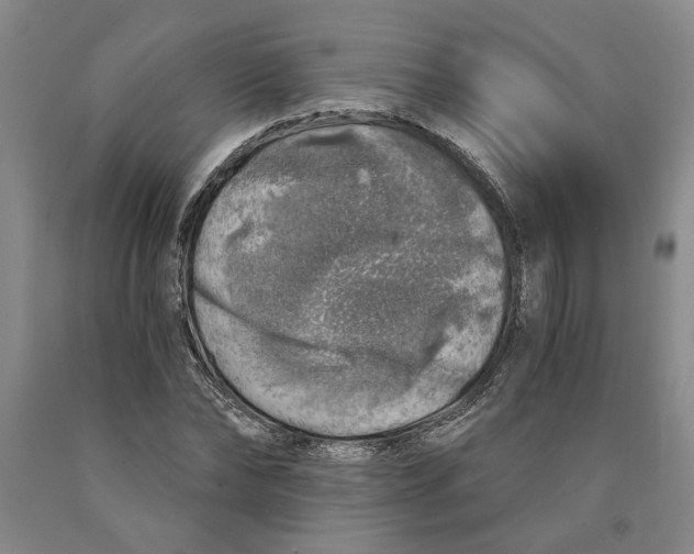 X0000089920878200707271734