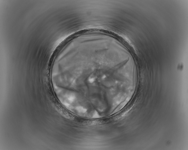 X0000089920879200707271734