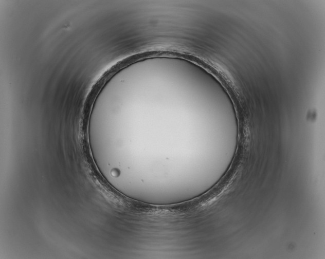 X0000089920880200707271734