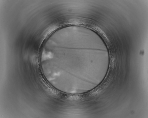 X0000089920882200707271734