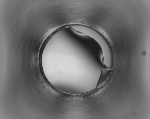 X0000089920884200707271734