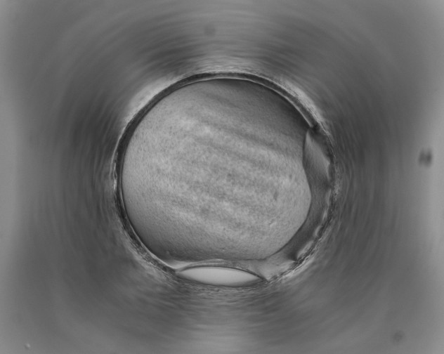 X0000089920885200707271734