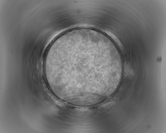 X0000089920886200707271734