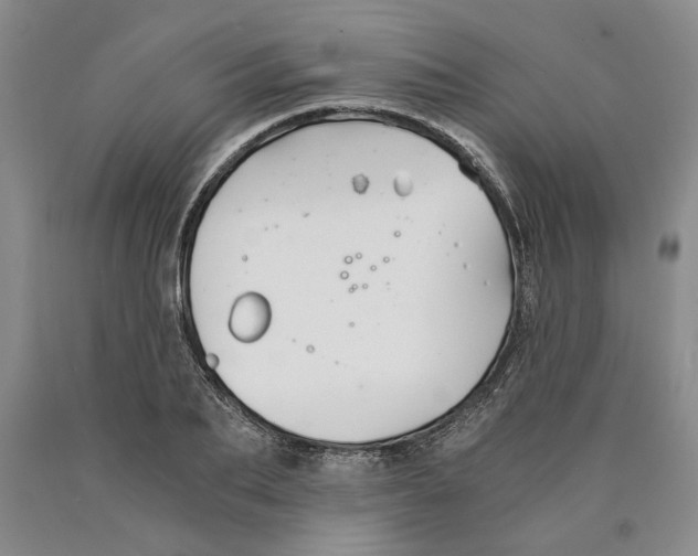 X0000089920887200707271734