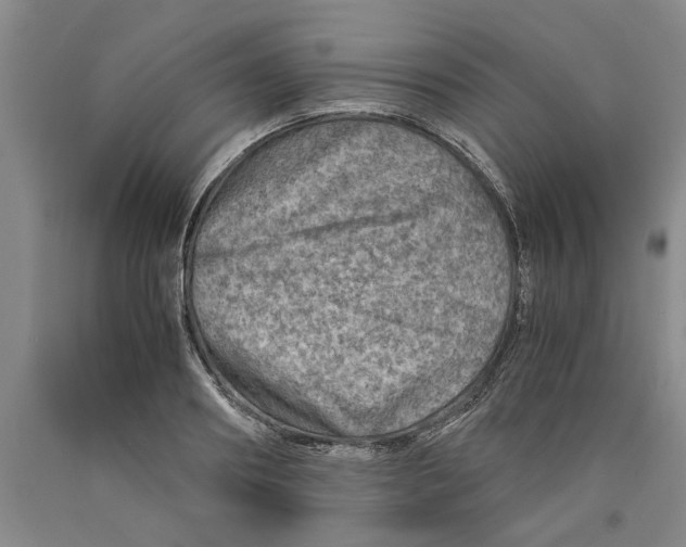 X0000089920890200707271734