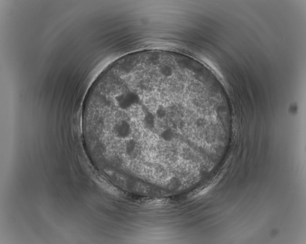 X0000089920891200707271734