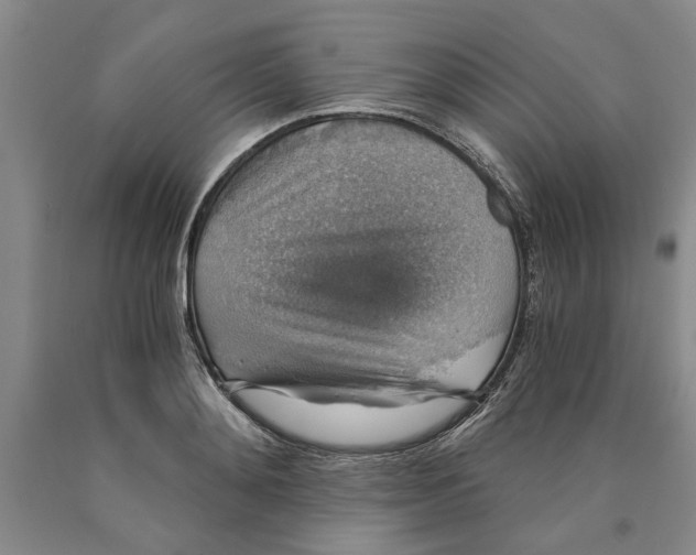 X0000089920892200707271734