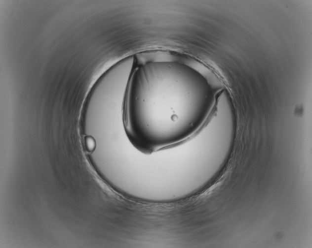 X0000089920893200707271734