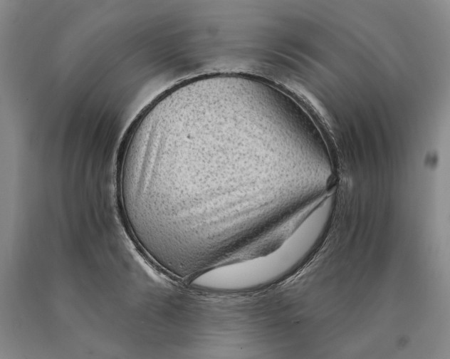 X0000089920894200707271734