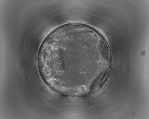 X0000089920895200707271734