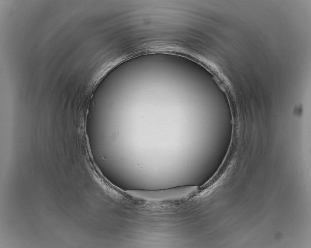 X0000089920897200707271734