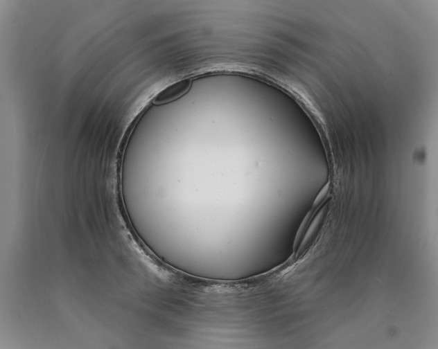 X0000089920898200707271734