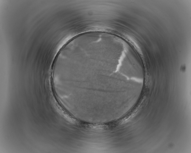 X0000089920899200707271734