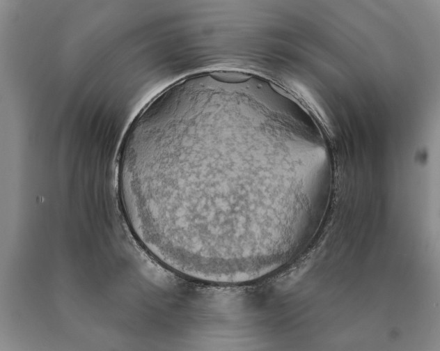 X0000089920900200707271734