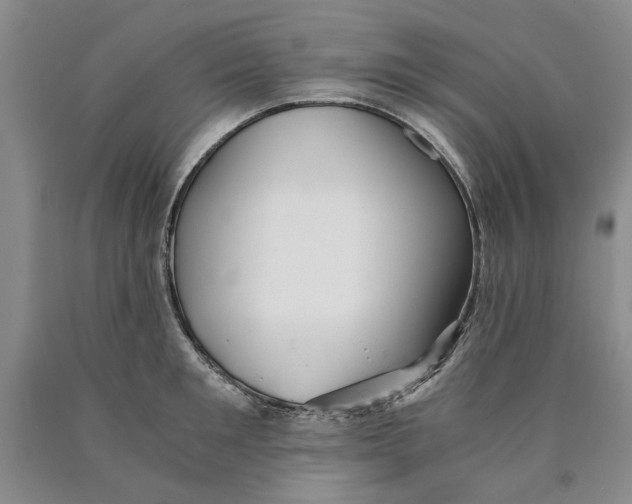 X0000089920901200707271734