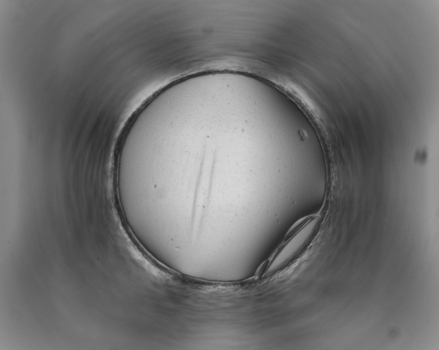 X0000089920902200707271734