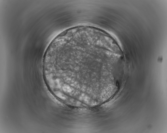 X0000089920903200707271734