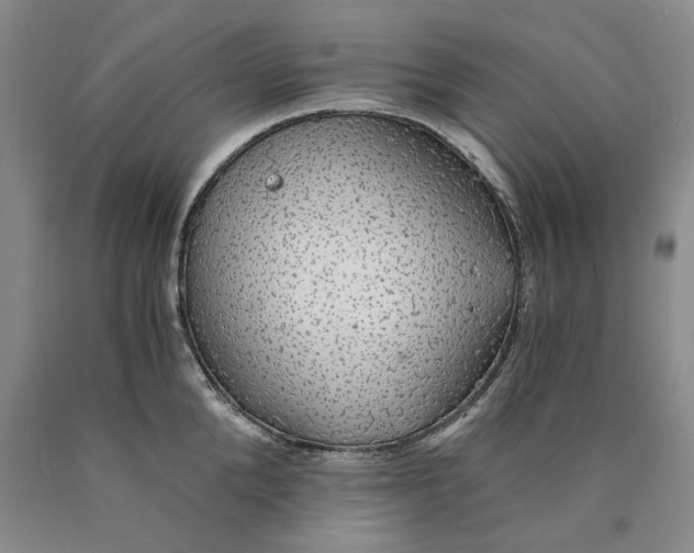 X0000089920904200707271734