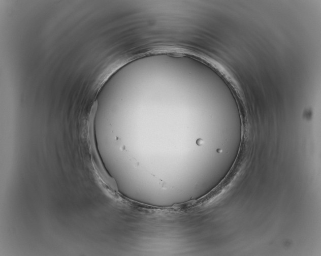 X0000089920905200707271734