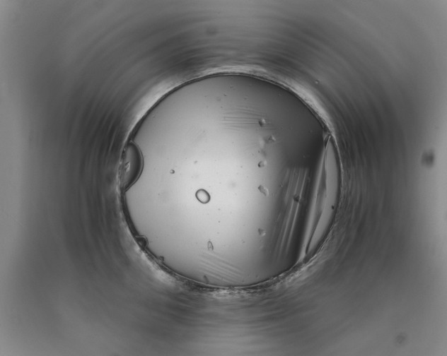 X0000089920906200707271733