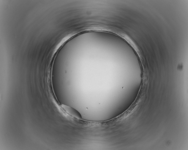 X0000089920909200707271733