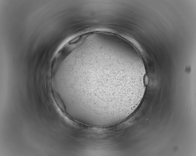 X0000089920910200707271733