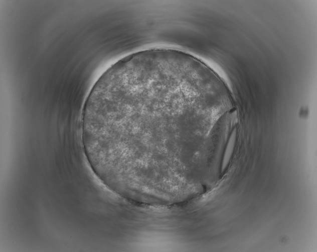 X0000089920911200707271733