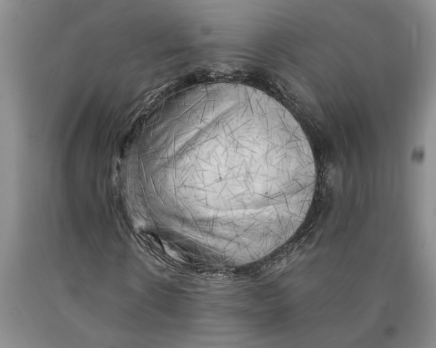 X0000089920914200707271733