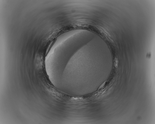 X0000089920915200707271733